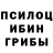 Псилоцибиновые грибы GOLDEN TEACHER hipo_