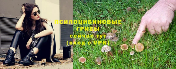 эйфоретик Аркадак