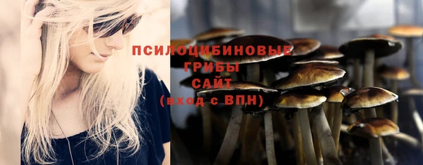 2c-b Арсеньев