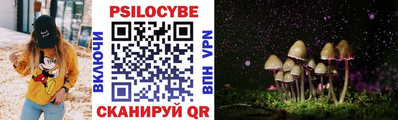 Псилоцибиновые грибы Cubensis  ОМГ ОМГ ССЫЛКА  Дорогобуж  наркошоп 